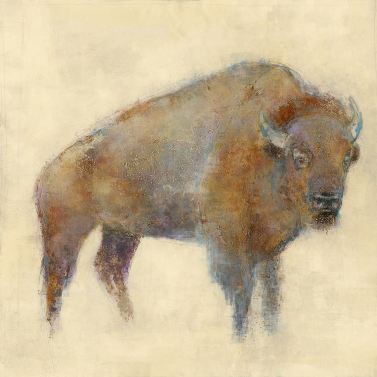 Bison