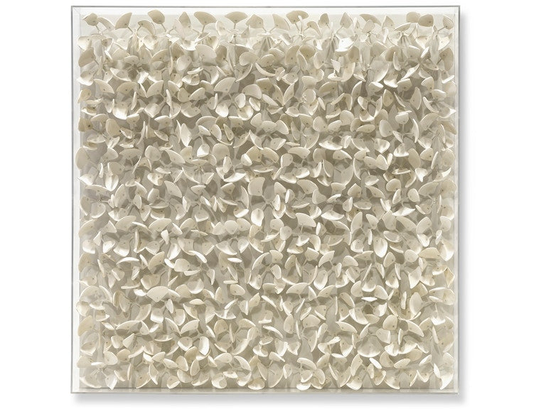 Adrift Coco Wall Decor