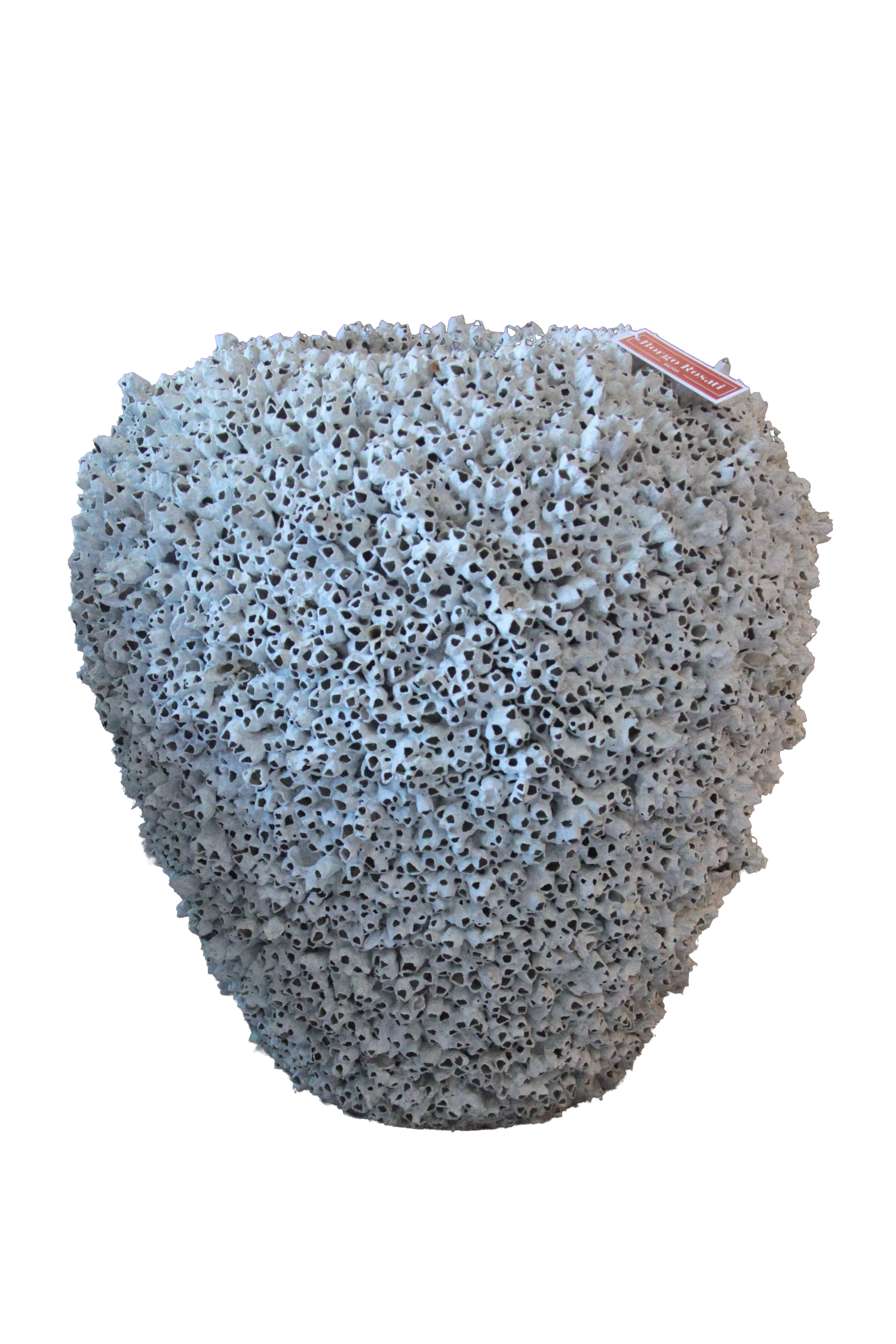 Barnacle Vase Large