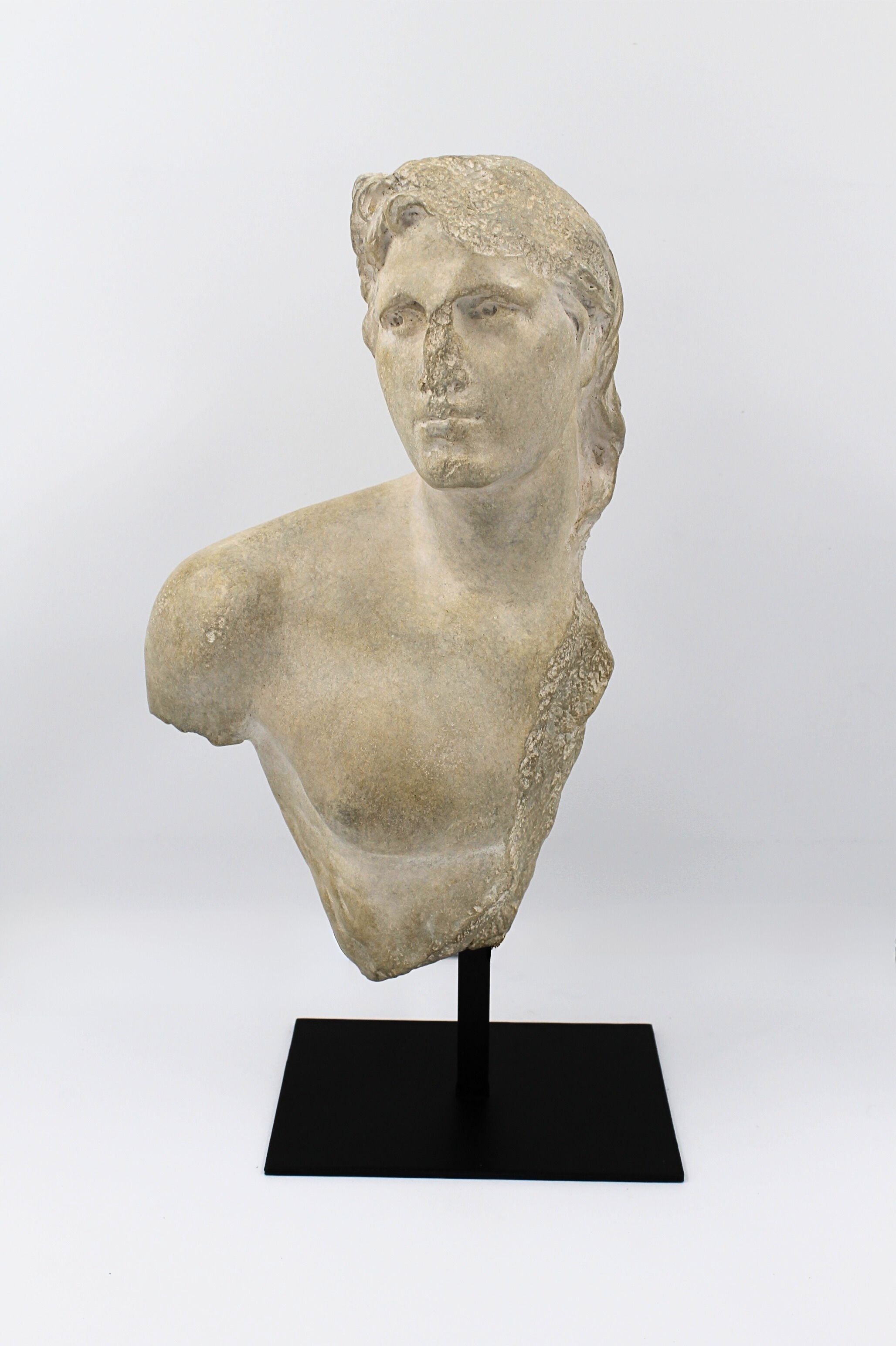 Young royal greek torso