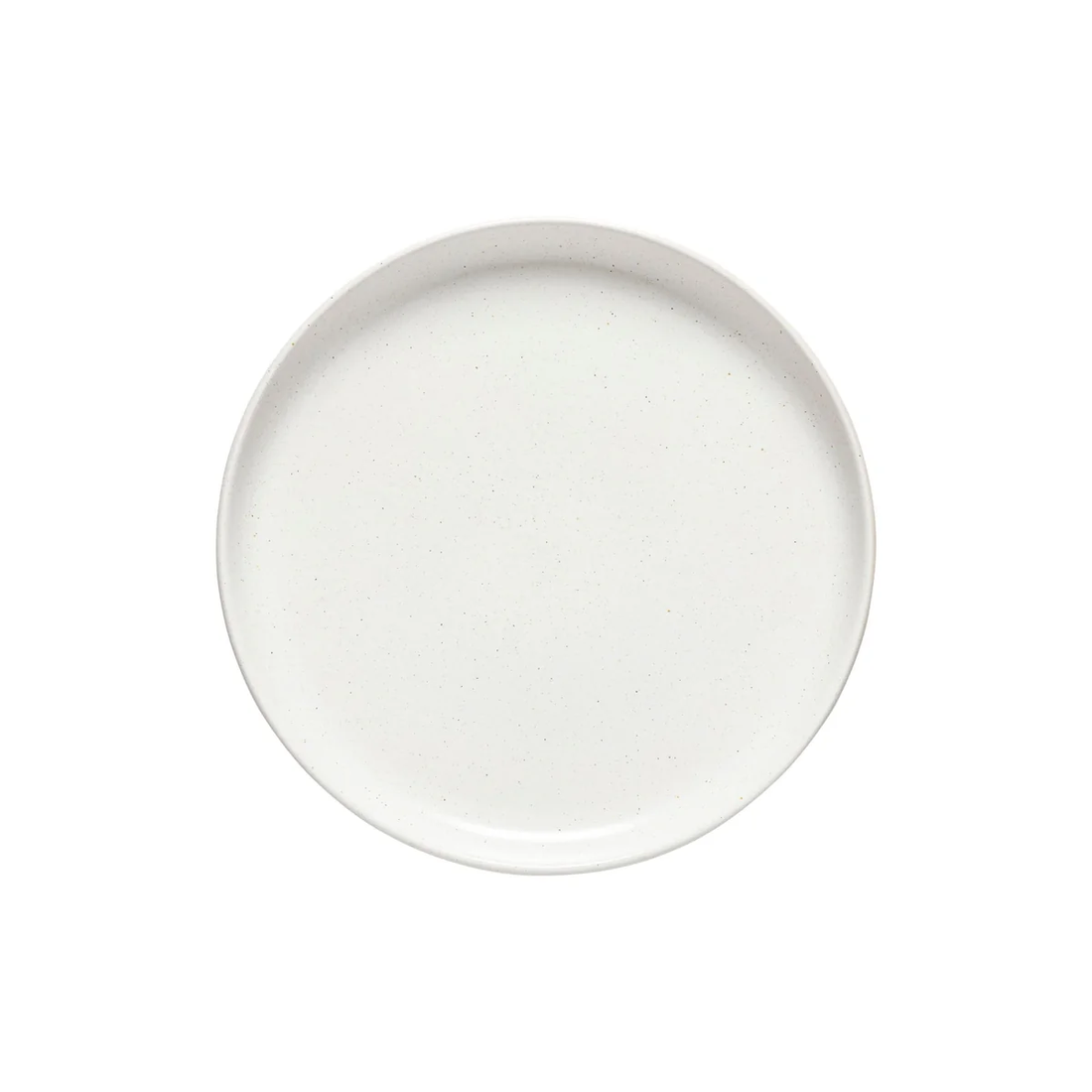 Pacifica Salt dinner plate