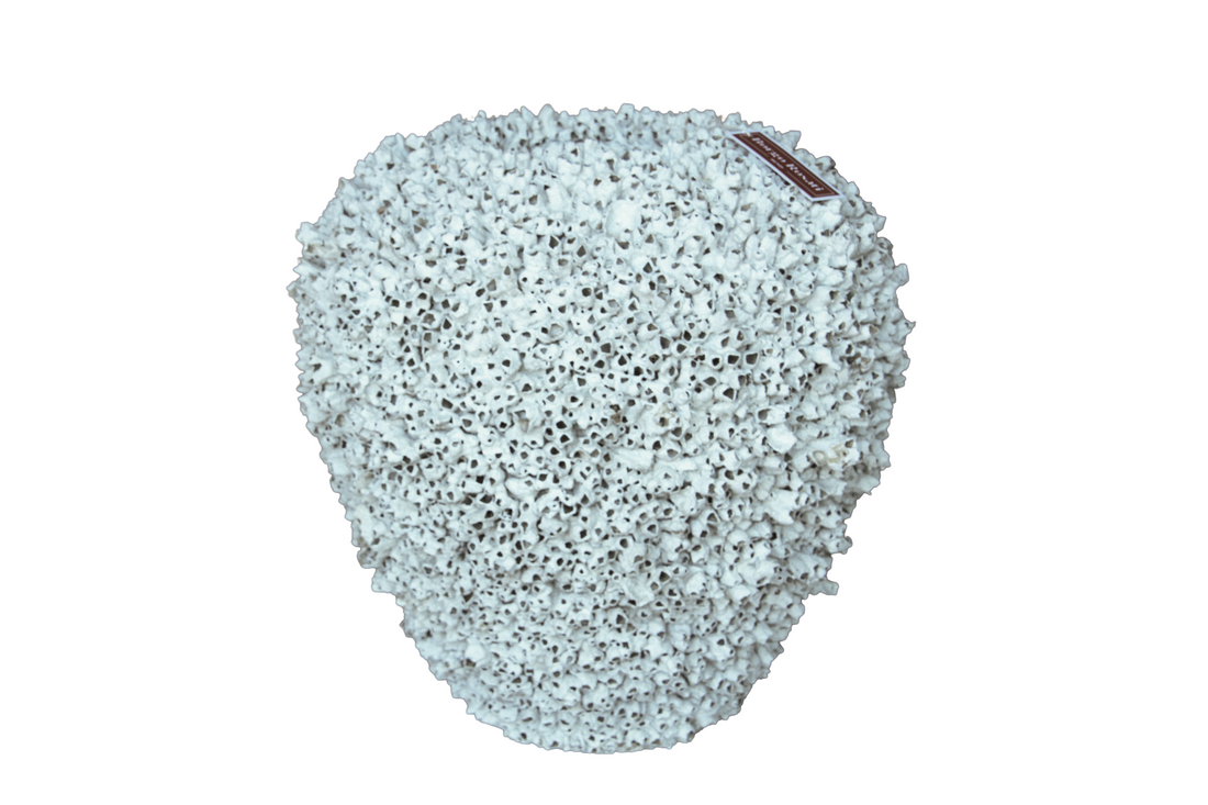 Barnacle Vase Medium
