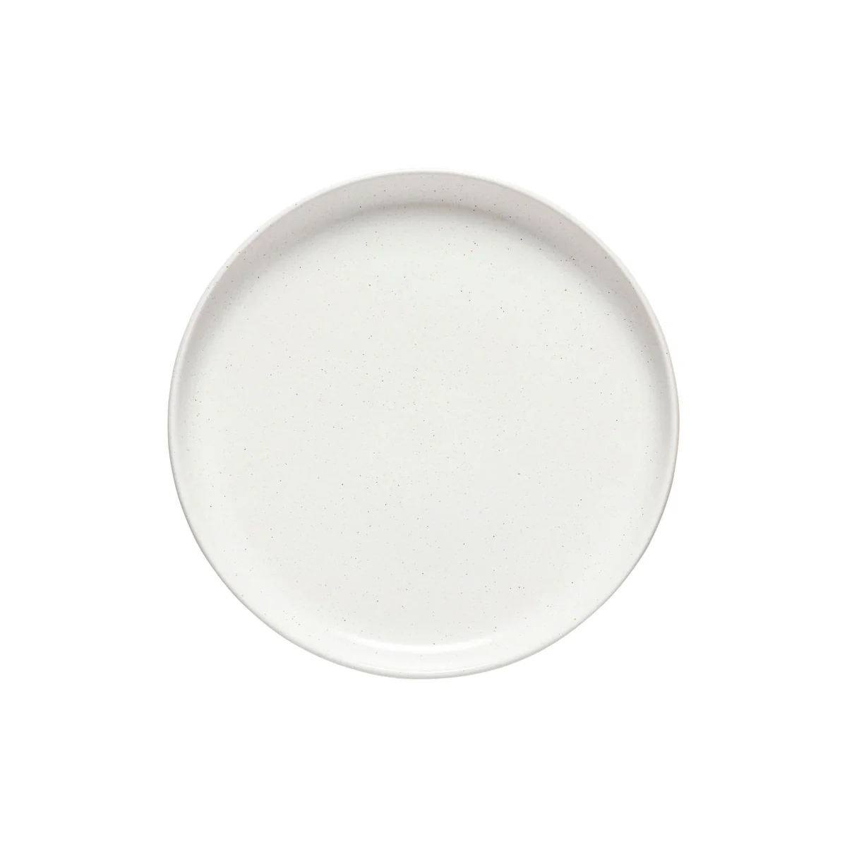 Pacifica Salt dinner plate